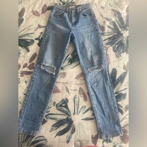 Classic Blue Skinny Jeans with Distressed Details